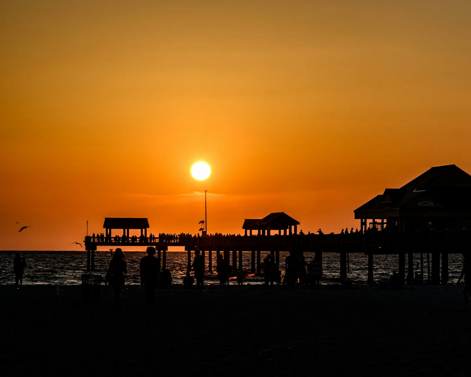 Gulf Coast shoreline and skyline